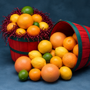 Citrus Basket